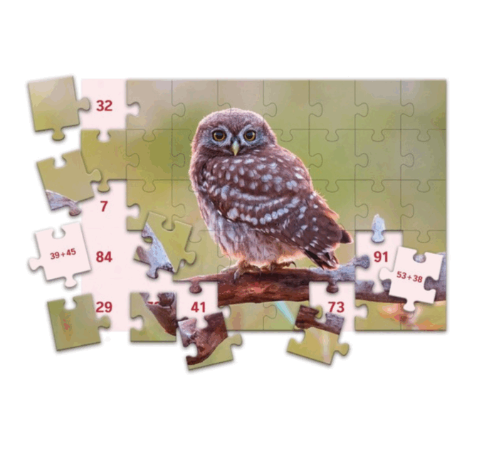 Forlaget Vektor · Matematik · Puslespil · SCHUBI MathPuzzles – Addition/Subtraktion til 100 Tre sværhedsniveauer udfordrer børnene i både plus og minus op til 100 – med selvkontrol i hver eneste brik.